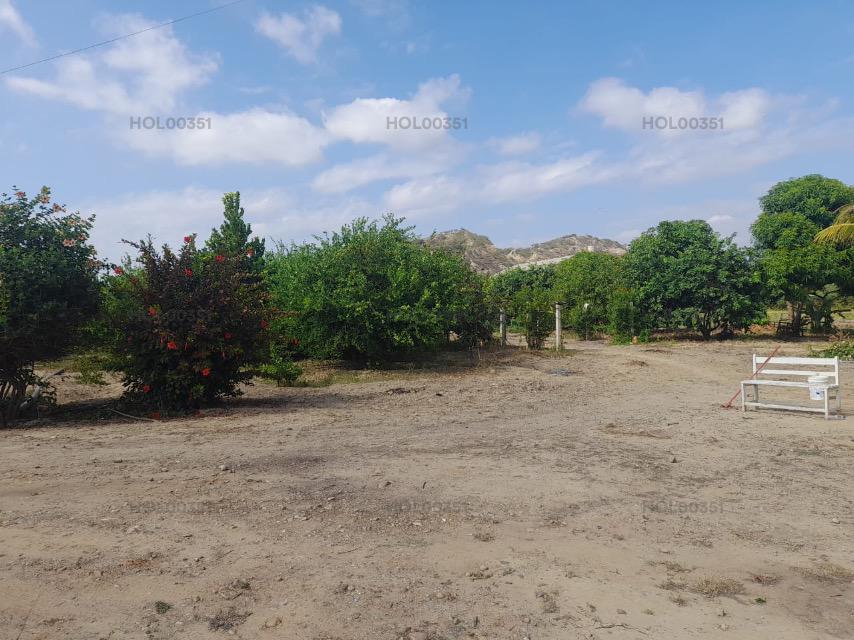 Property img