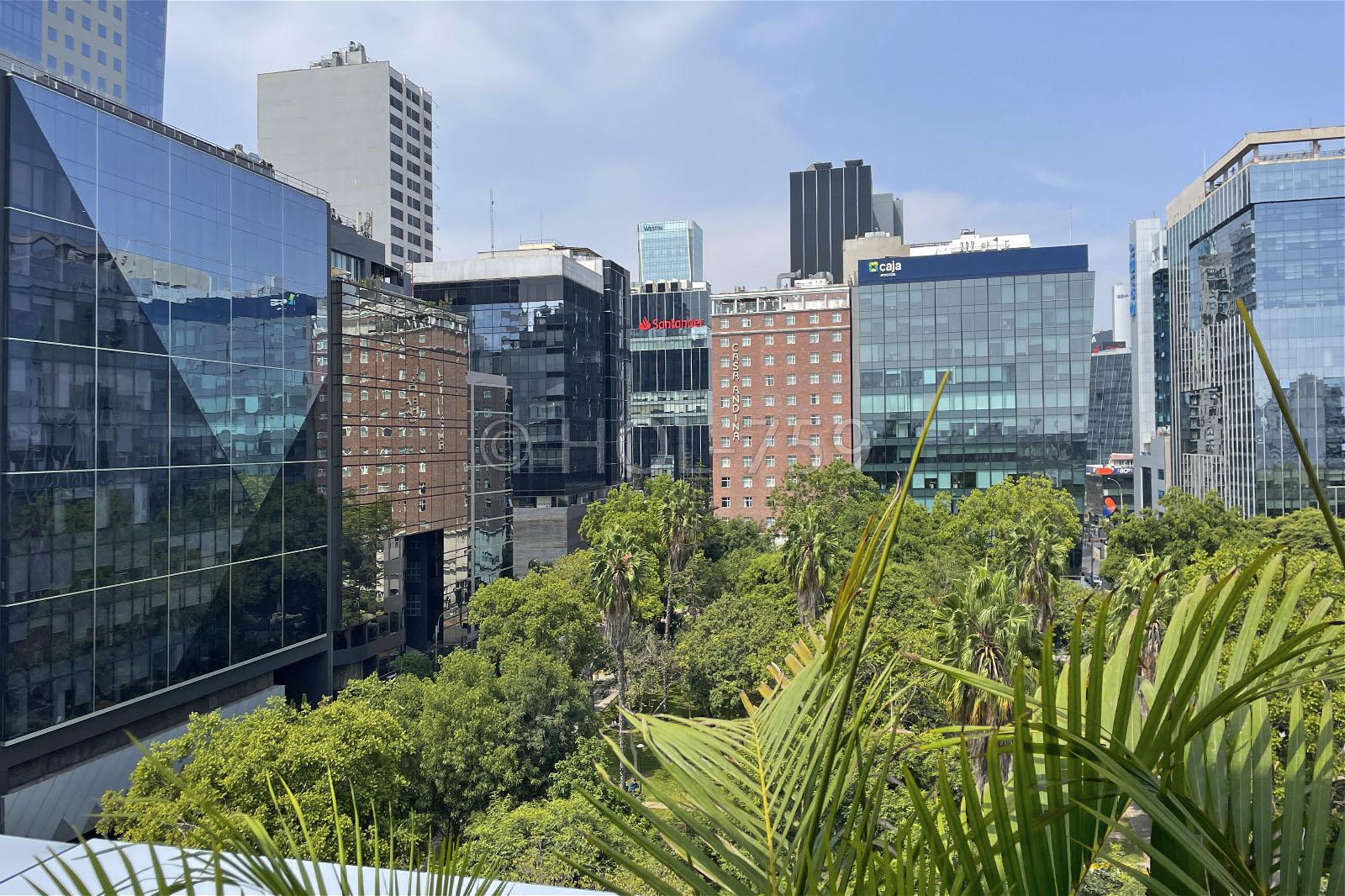 Judith Rivera, Agente inmobiliario en Judith Rivera Bienes Raices