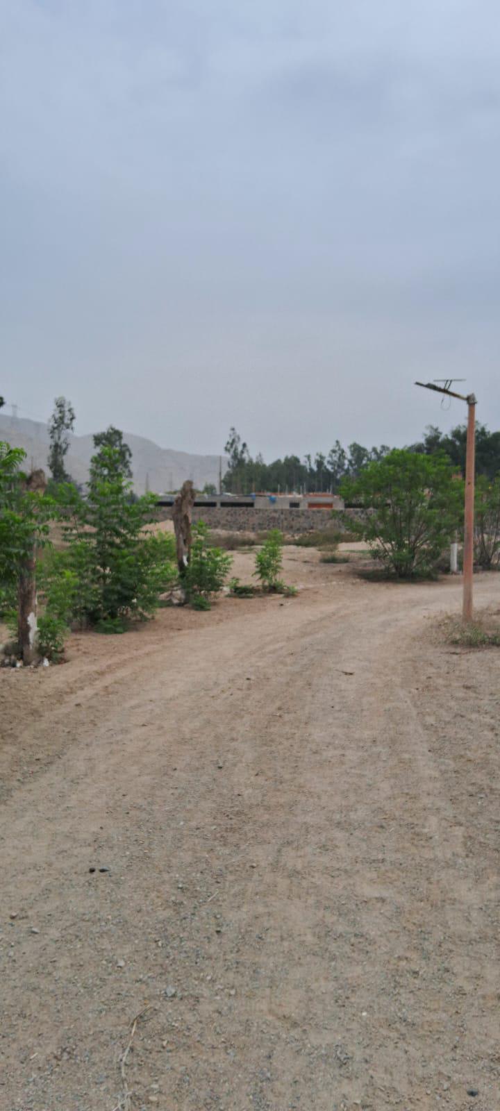 Property img