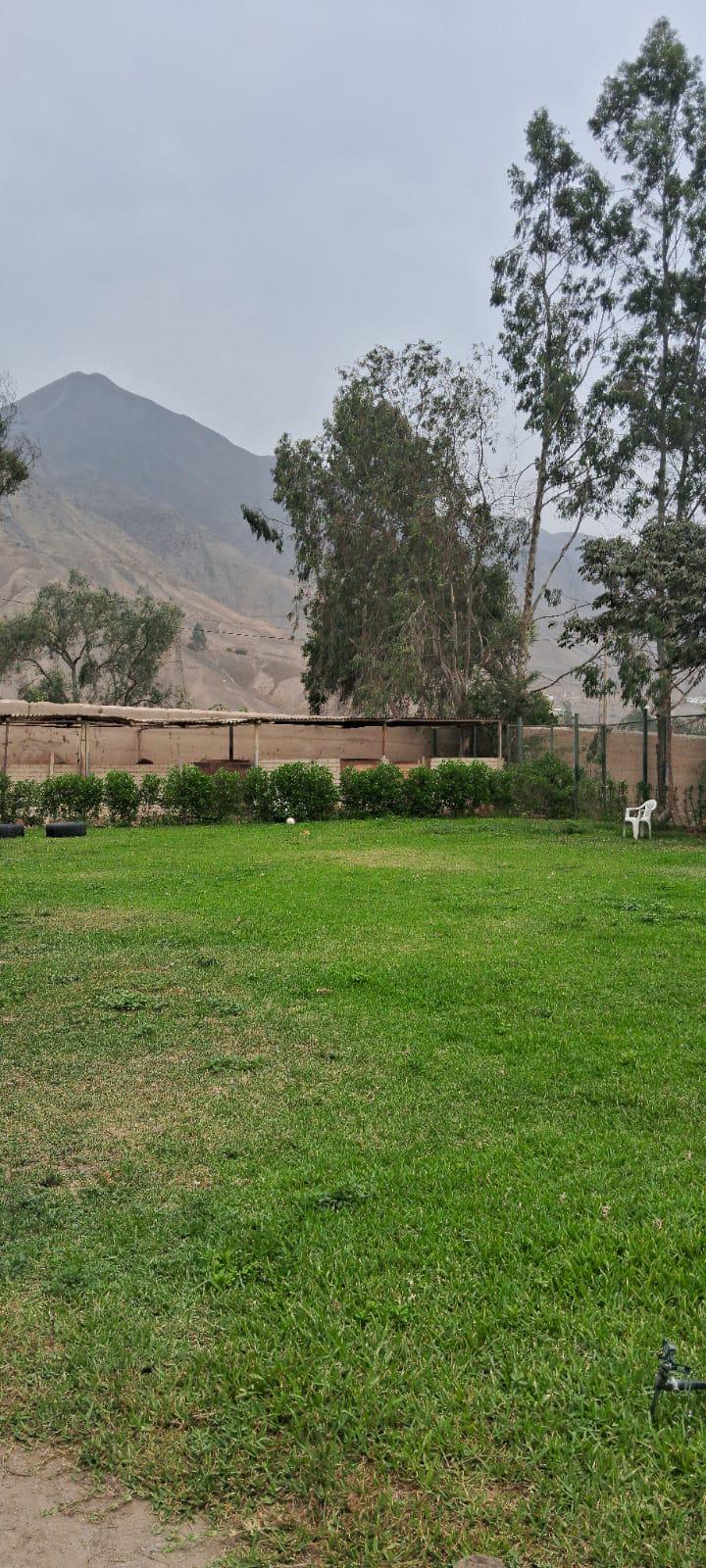 Property img