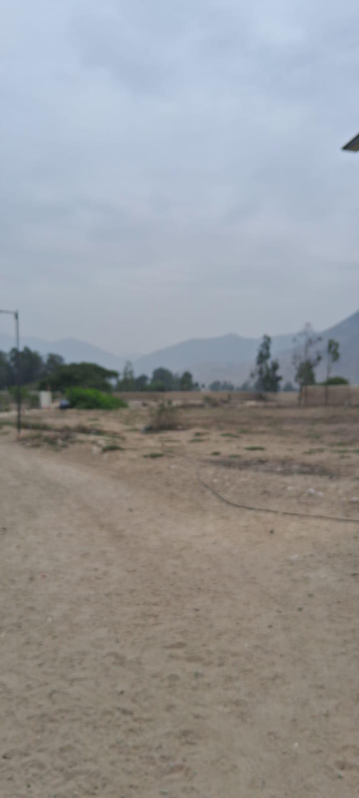 Property img