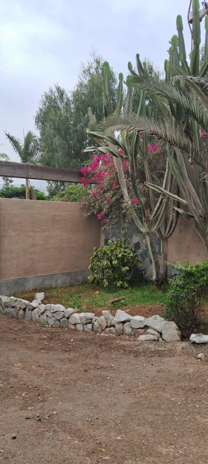 Property img