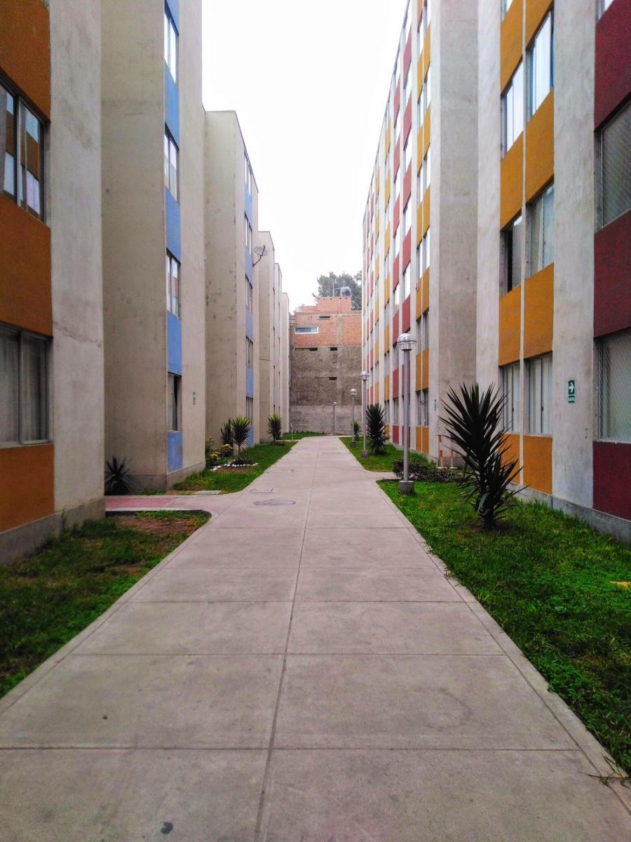Elmer Peñaloza Chavez, Agente inmobiliario en Black Enterprises